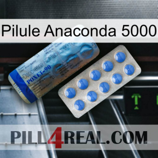Anaconda 5000 Pill 40